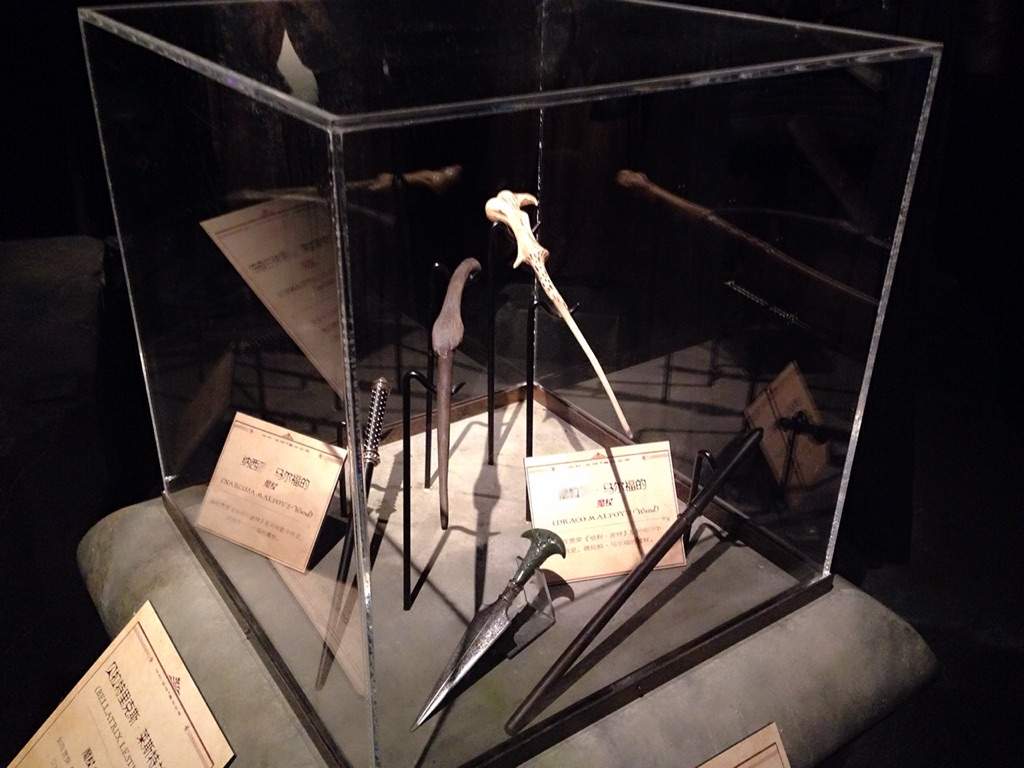 Glass case display