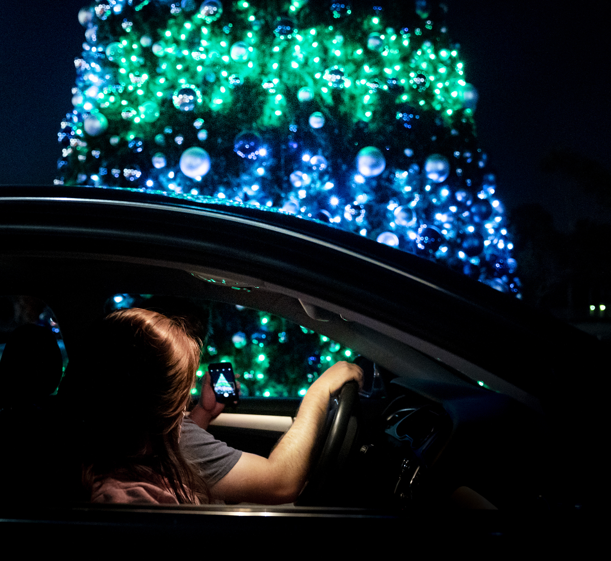 NOL tree lit