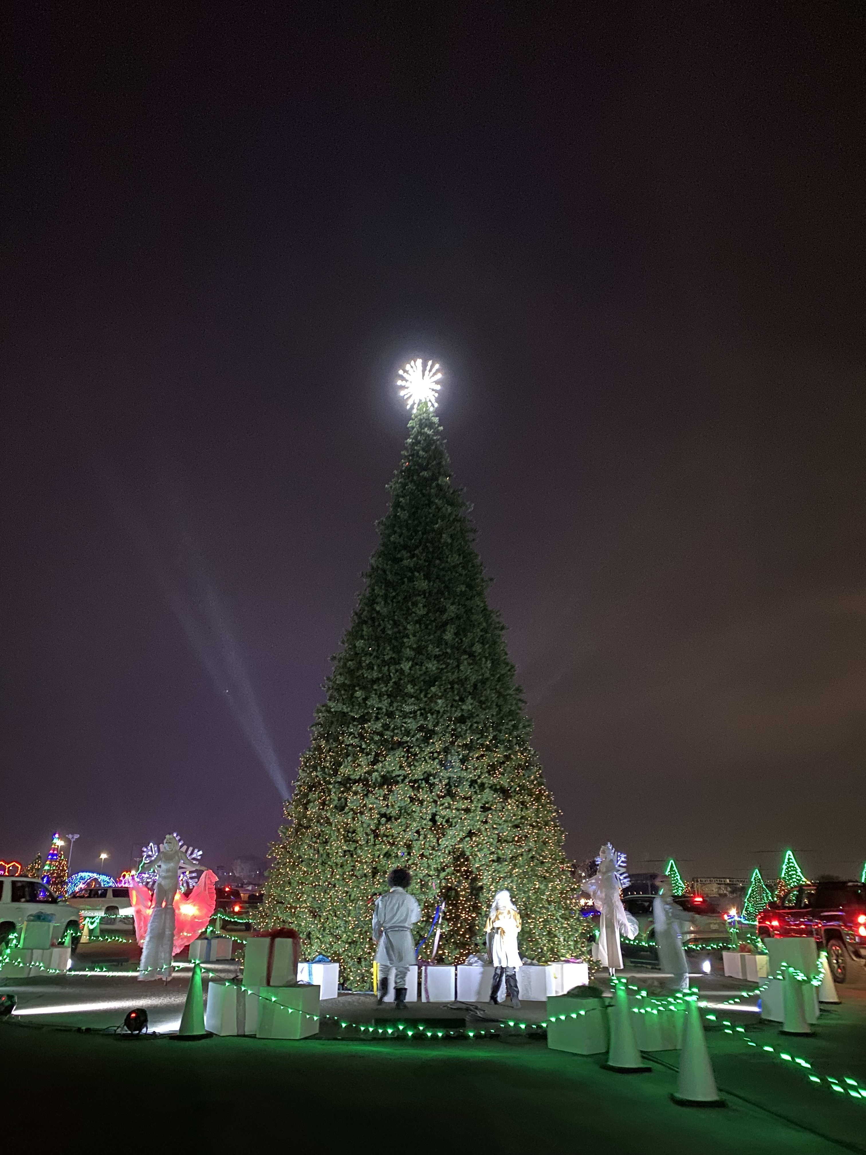 Round tree display