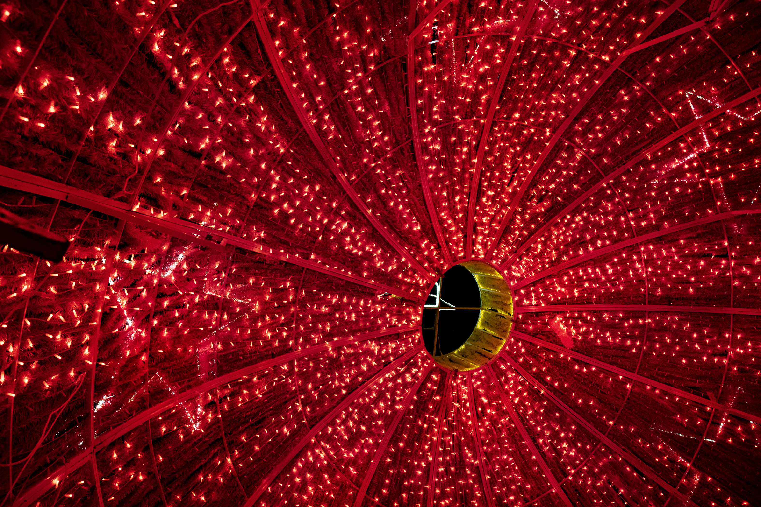 Red poinsettia light