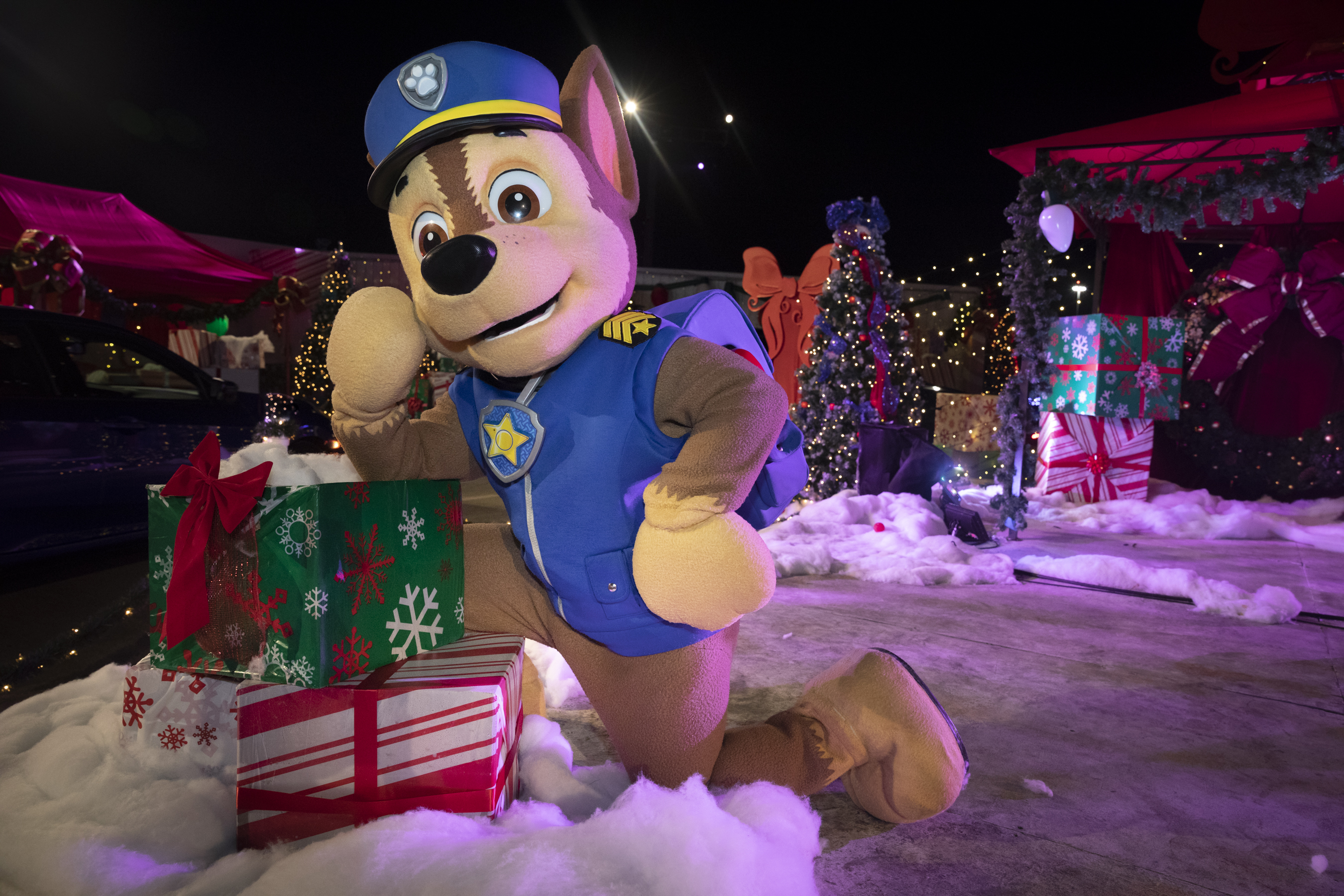 Paw Patrol Chase