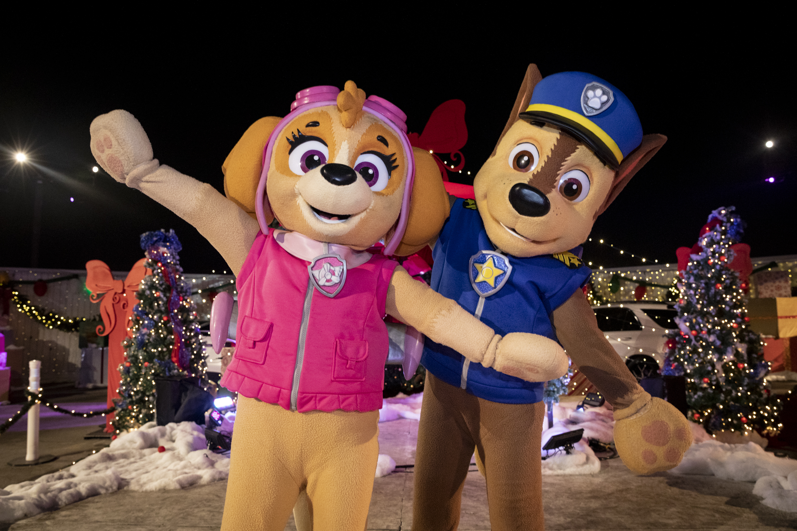 Paw Patrol Skye 2