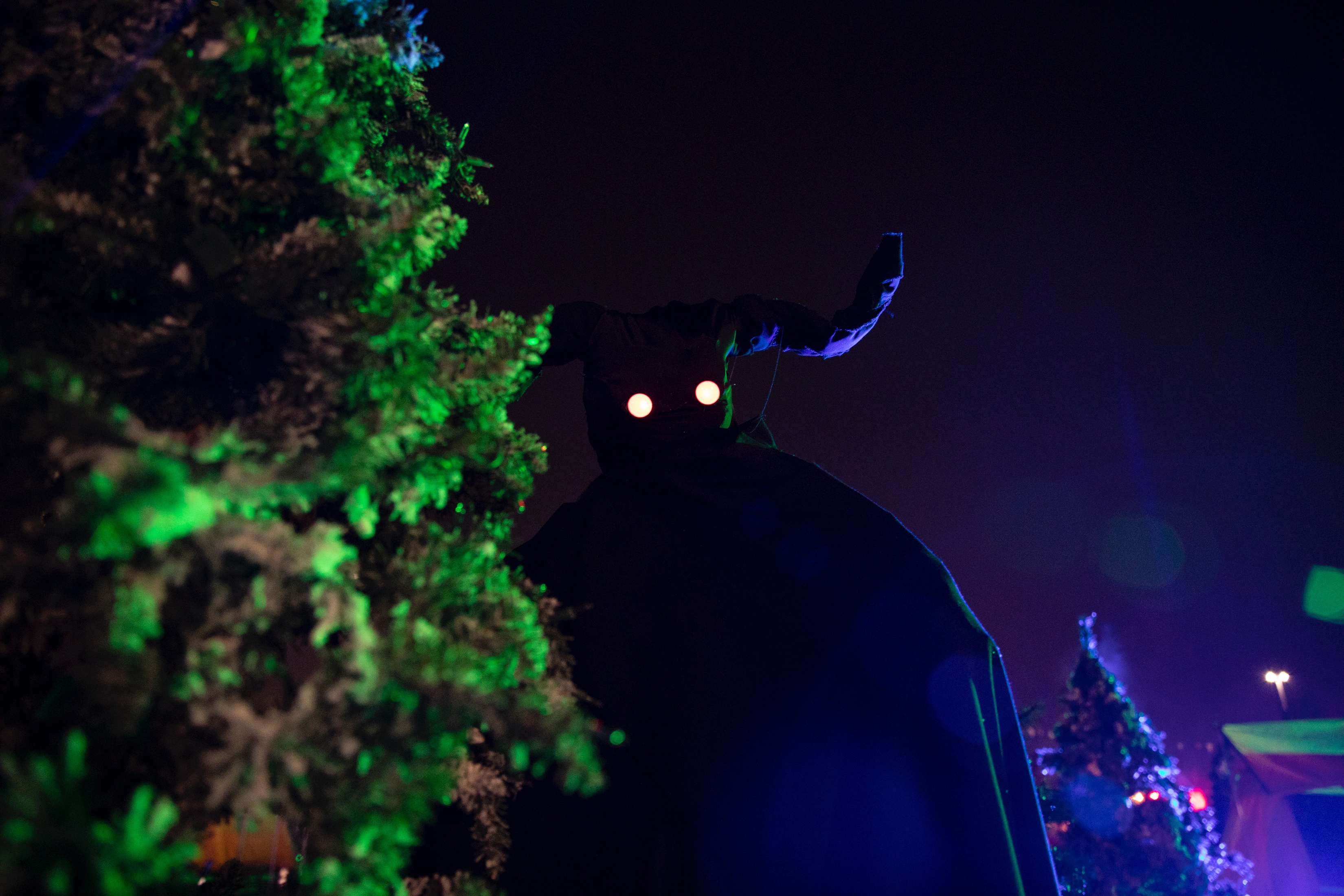 Green tree night scene