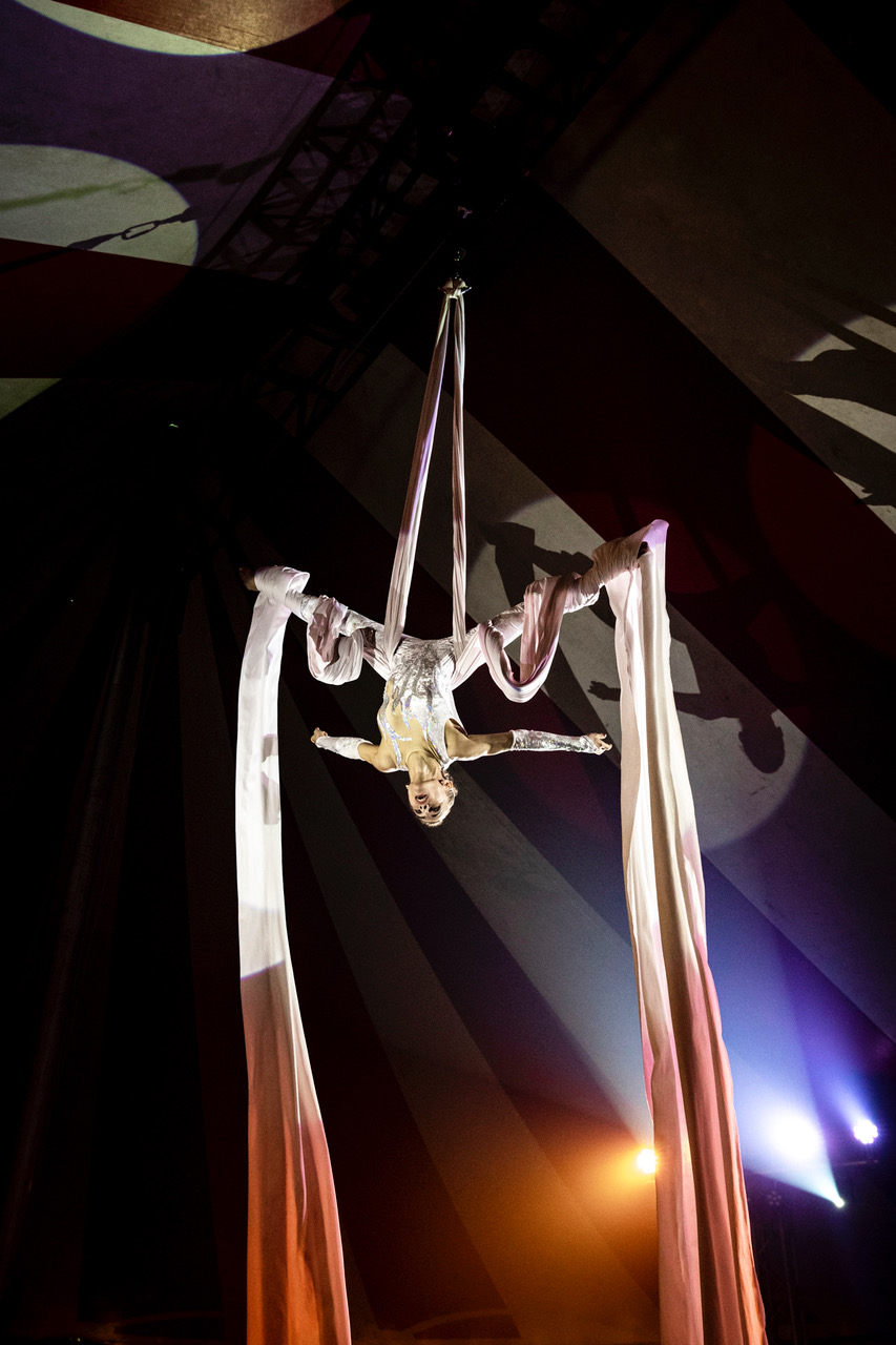 Aerial artist