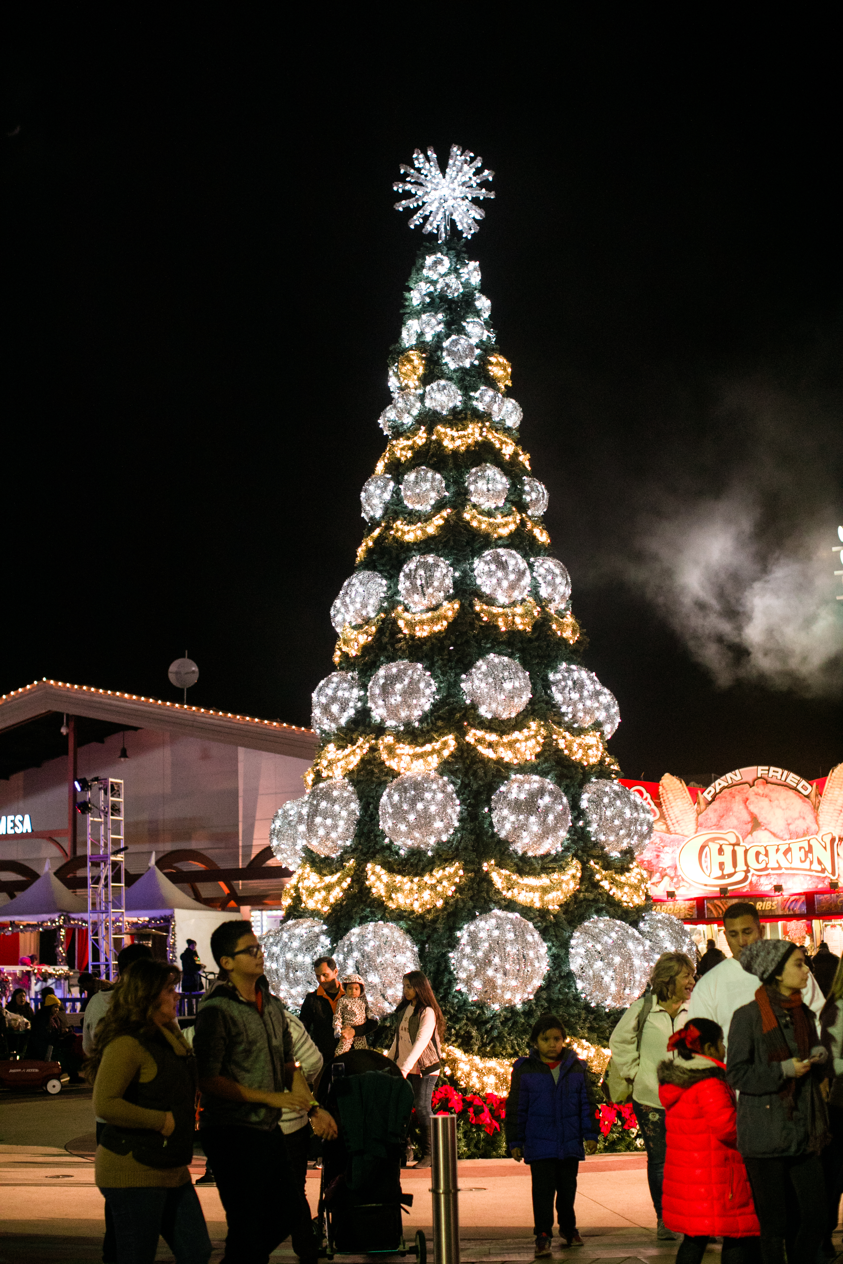 Christmas tree lit